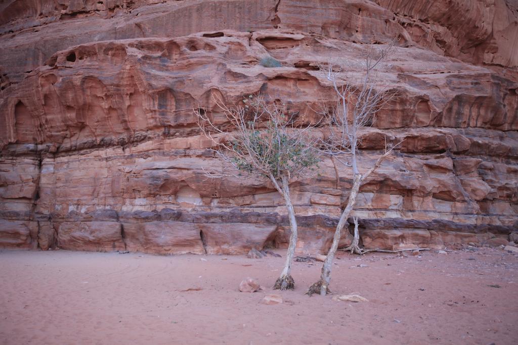 Bedouin Expedition Wadi Rum Ngoại thất bức ảnh