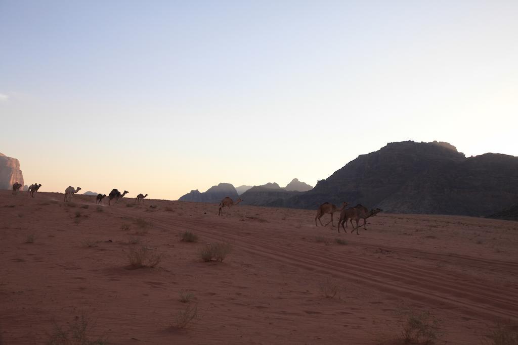 Bedouin Expedition Wadi Rum Ngoại thất bức ảnh