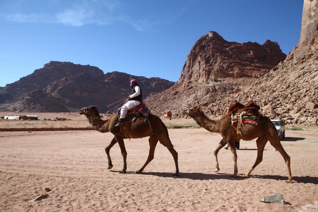 Bedouin Expedition Wadi Rum Ngoại thất bức ảnh
