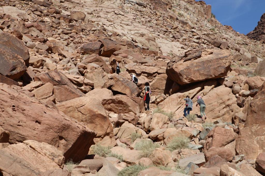 Bedouin Expedition Wadi Rum Ngoại thất bức ảnh