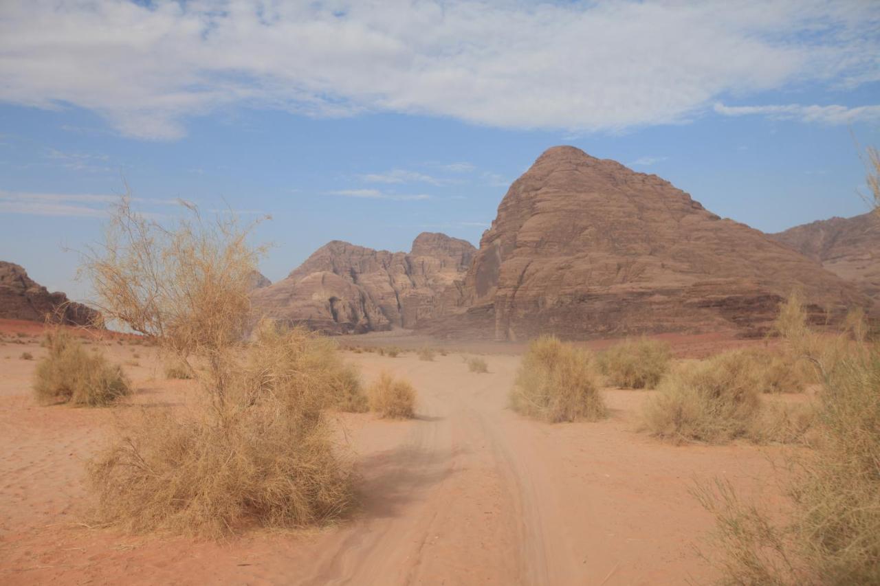 Bedouin Expedition Wadi Rum Ngoại thất bức ảnh