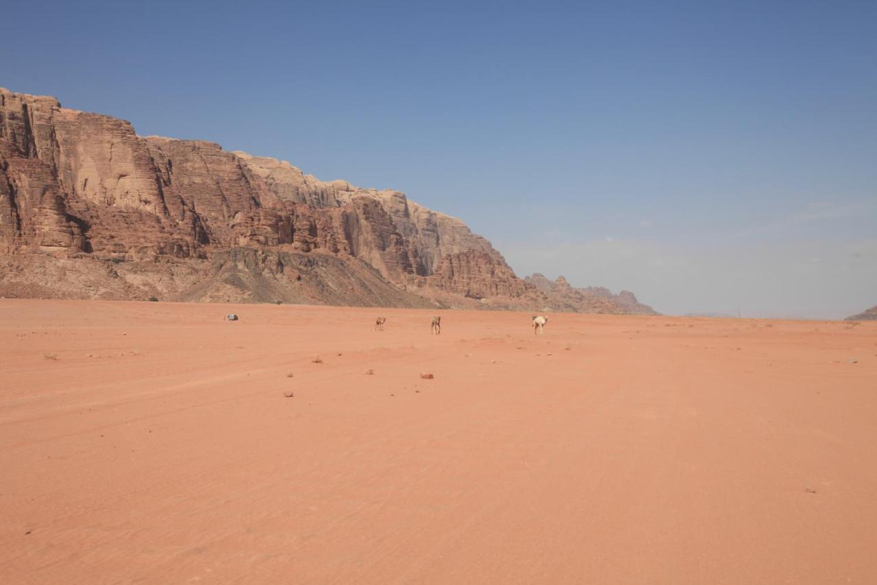 Bedouin Expedition Wadi Rum Ngoại thất bức ảnh